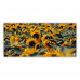 Postcard | Field of sunflowers